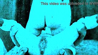 Porn from the good old days with hairy and beaver dams