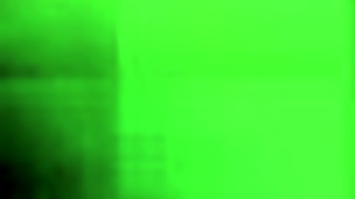 Porn from the good old days with hairy and beaver dams