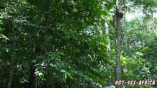 Why do I crave getting my ass fucked by huge cocks in lingerie?