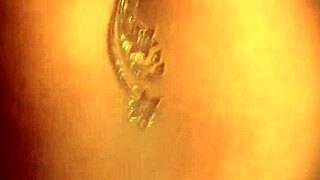 Seductive Brunette Undresses and Dances in Erotic Striptease from India