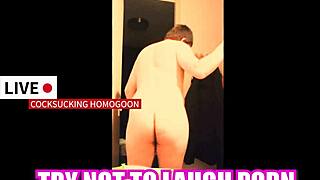 Detailed Scene Of Silly Gay Cocksucking That Will Make You Laugh And Arouse With Twists.