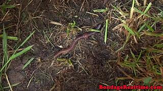 嘿，看我在紧缚中被灌肠支配