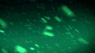 jashinshoukaninrankyonyuuoyakoikeniegishiki 1, anime hentai action