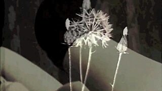 dark lantern unveils vintage taboo family fantasy with shaved pussies and forbidden desires