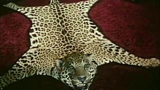 Step vintage taboo unfolds in raw retro style