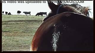 music video - oklahoma farm sex