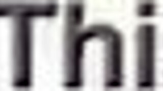 Rodrigo Weeh behind scenes with naughty kittens?