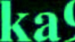 Rin Intense Sex In Bunny Garden Hentai