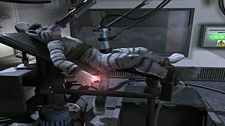 H0rs3 - Check Out This Wild Fucking Machine Compilation!