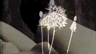 Discovering Hidden Desires In Vintage Tales