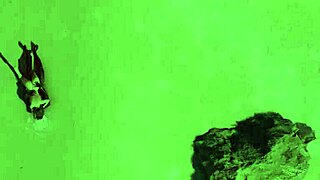 royaly blacked by my bf's roommate longlegsteph with monster bbc