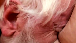 Amputee Grandpa Hosts Gay Gangbang Party