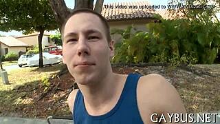 fellows engaging in intense homosexual encounters