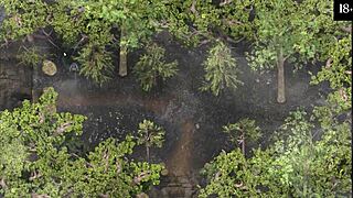 cuzao largo da boneca safada sex toy