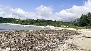 Sfw Cleaning at Natural Pacific Ocean Beach
