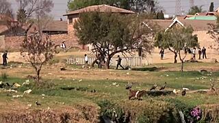 Thick black BBW slammed in ghetto toilet