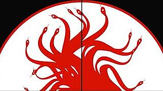 I didn’t expect such harsh punishment as an innocent intruder