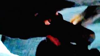 Amateur black beauty gets a big cock in her homemade video