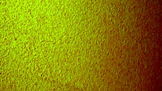 i hired a cheap mature asian hooker for creampie