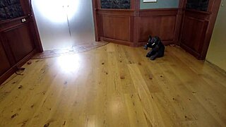 跪下贱货吸老子毛茸茸大鸡巴