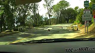 Yo, let's fuck in the car on this trip!