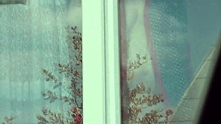 Public Nudity Shocks Taxi Driver as Naked Milf Washes Window