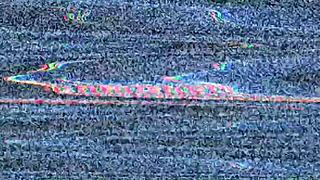 Recopilaciones De Algunas De Las Corridas De Gabrielsex37 En Outdoor Amateurs