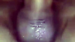 i watched my teen friend ride hard, switching holes till he finished in her tight ass