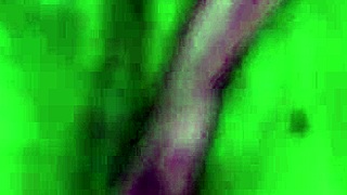 Hot Morning Sex with Queen Mona and Candy Man’s Big Cock