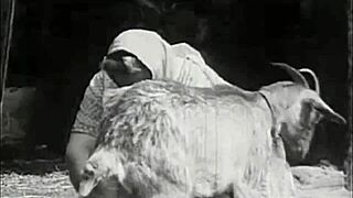 Dark Lantern Entertainment Presents Retro Vintage Pussy Riding with Hairy Natural Tits