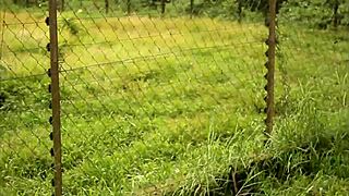 Intense Public Blowjob and Anal with Huge Cock in Tourist Park