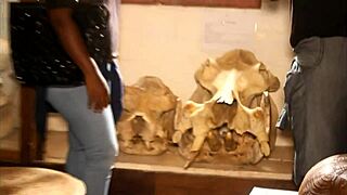 Intense Public Blowjob and Anal with Huge Cock in Tourist Park