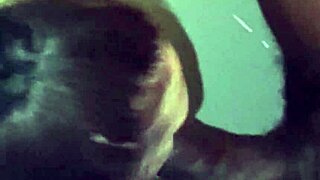 just giving this thick black cock some amazing deepthroat action at home. she licks every inch.