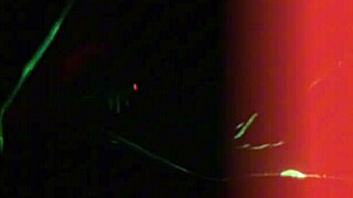 Sexy black bestie with small waist gets blowjob and doggystyle fucking in dirty quickie