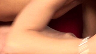 fuck me hard while no one's home, let's get wild