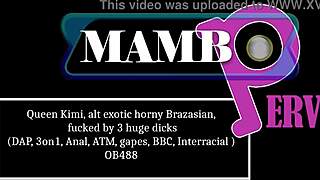 Exotic Brazilian Queen Kimi Takes Three Huge Cocks Anal