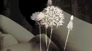 Vintage glimpse of 19th century english gentleman's secret life