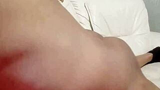 Sundaydogood614 update 841 on march 17 2025