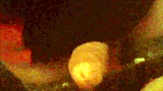 i stripped and fucked a stranger in the swing house cabins