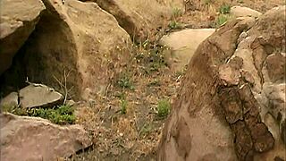 blonde milf mom outdoors fucking with fingering