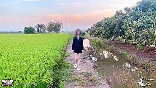 young couples getting wild in a rice field setting