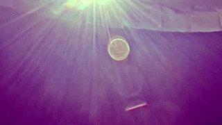 married asian woman enjoys car passion