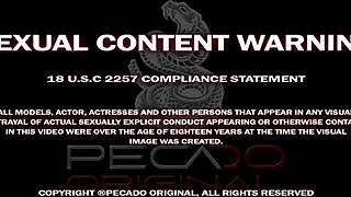 big debut, trainer makes fat ass desperate for sex?