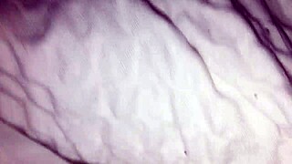 Natalie gets fucked doggystyle by random guy Orlando Strange for cash