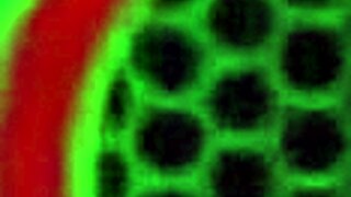 stepbrother fucking creampie his freaky slutty stepsister rough sex to her shaved pussy