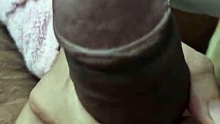Awesome Asian Wife Blowjob Ball Suck And Hard Fuck With Hindi Audio
