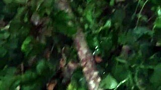 incredible i meet cute whore friend for couple sex in jungle