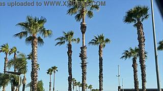 Point Break Xxx Beach Scene With Fucking