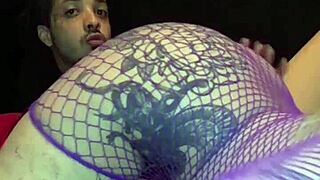 Kyoho Grapes Season 4 Featuring International Cast.