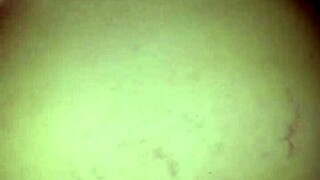 Horny Wife Gets Tight Pussy Fucked While Sleeping, Want to Watch Her Moan?